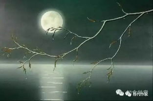 春夜王安石古诗，春夜王安石翻译