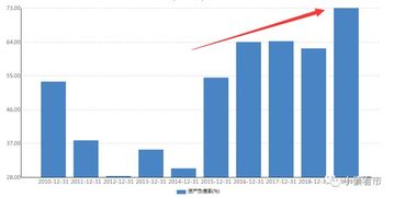 资产负债率是什么意思