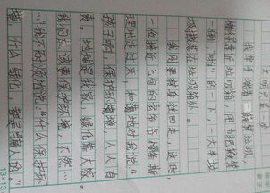 保护环境作文300字左右三年级，保护环境作文300字以上