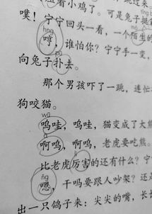 哼的拼音和组词