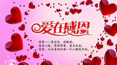 感恩父母作文500字，感恩父母作文600字作文叙事