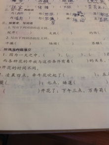 开放的反义词是什么词，轻悠悠的近义词