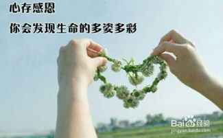 学会珍惜是什么意思，学会珍惜眼前人的句子