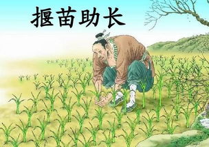 揠苗助长什么意思?