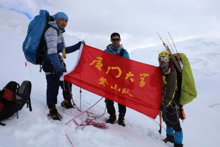 山回路转不见君的下面一句是什么