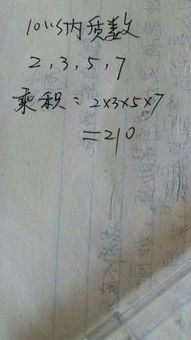 10以内的质数