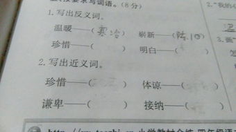 明白的反义词是什么