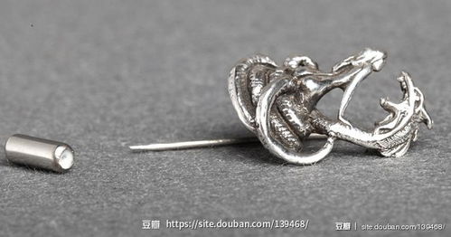brooch怎么读，Brooch pin