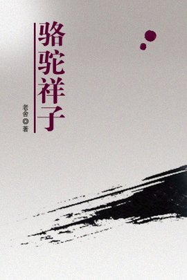 骆驼祥子的500字摘抄及仿句