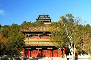 颇具匠心是什么意思，颇同音字有哪些字