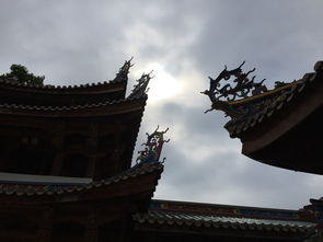 故地的意思，故地重游,风景依旧,岁月流走,收获了什么?