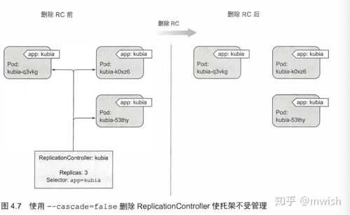 pod是什么意思?