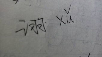 立羽这个字读什么，立羽读啥字
