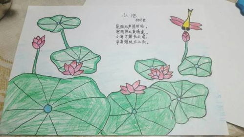古诗《小池》全部解释