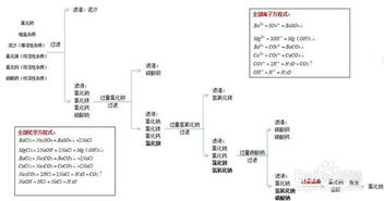 粗盐提纯去除可溶杂质所加的试剂的顺序是什磨 谢谢?