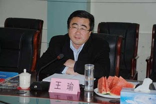 长风渡电视剧配音演员