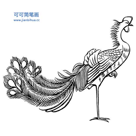 凤凰怎么画