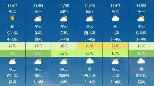 上海15天的天气预报
