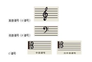谱号的读音谱号的读音是什么