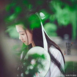 冲不破情网歌词，冲不破情网只好带着你飘荡