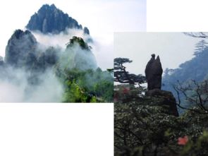 爬天都峰课文，爬天都峰教学设计一等奖