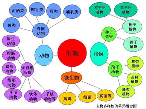 生物知识点有哪些呢?