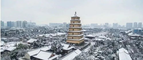 雁塔区劳动仲裁电话是多少，雁塔区劳动监察大队电话