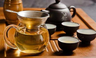 饮茶歌诮崔石使君注音翻译，饮茶歌诮崔石使君朗诵视频