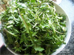 荠荠菜怎么做好吃?，荠荠菜怎么做好吃 春天