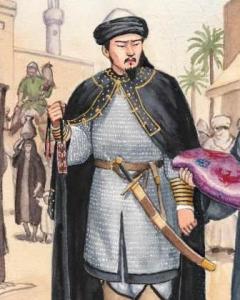 杜环小传，杜环侍老