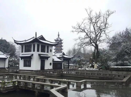 寄全椒山中道士翻译及赏析