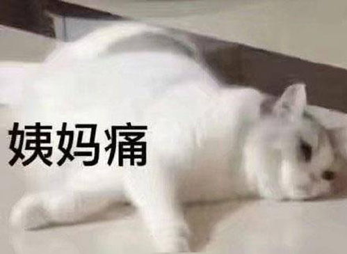 来姨妈疼发说说配图，来月经痛的说说