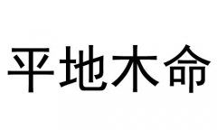 年命与本命的区别?看一个人什么命要看哪一个呢?
