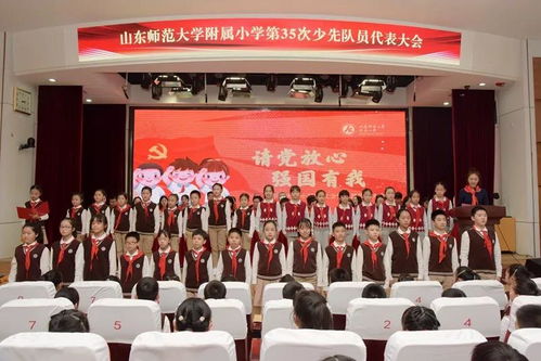 少代会提案的内容有哪些?