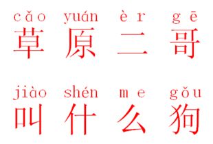 哥的拼音怎么打，哥们的拼音