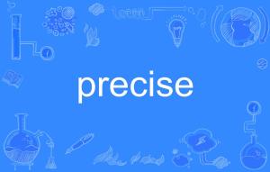 precisely，precisedapt评分表