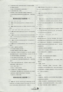 期中综合能力检测卷是哪一套卷子上的