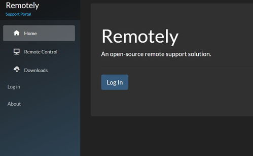 remote 是什么意思 ?