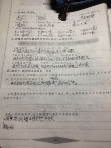 因为所以造句
