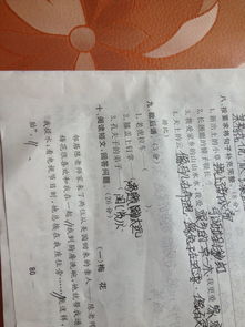 老虎拉车歇后语是