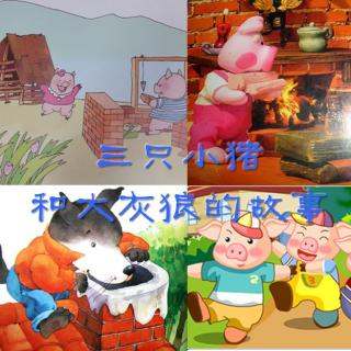 三只小猪的故事简介