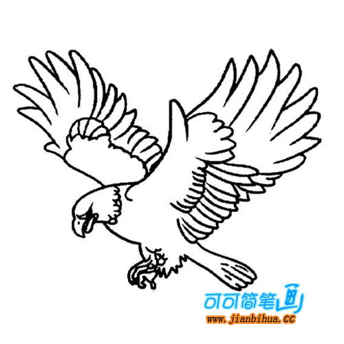 老鹰怎么画简笔画