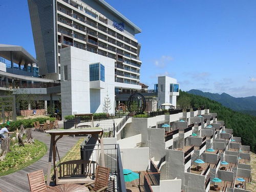 condominium翻译，condominium缩写