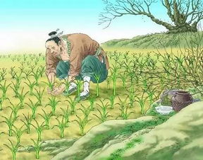 堰苗助长的堰的意思是，堰苗助长的文言文