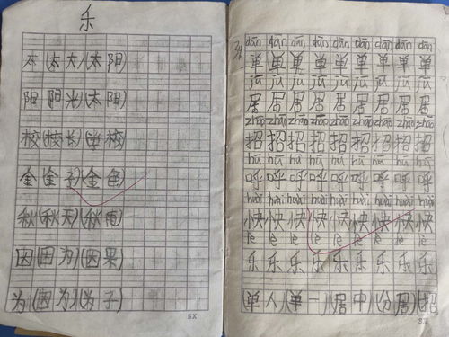 率可以怎么组词