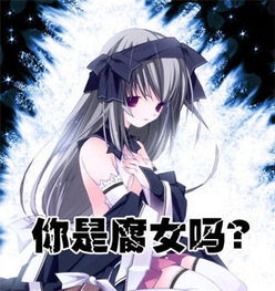 腐女是什么意思?