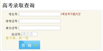 如何查询四川成人高考成绩?