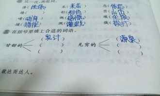 甘组词有哪些