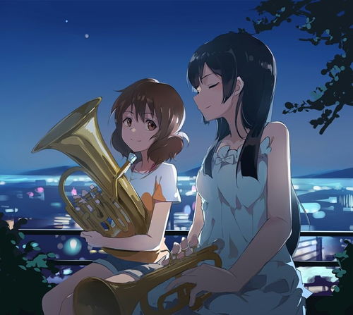 上低音号在乐团的地位，上低音号演奏视频