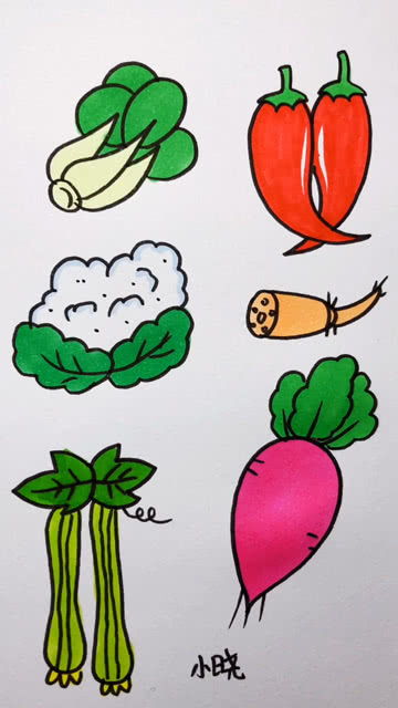 菜的简笔画怎么画
